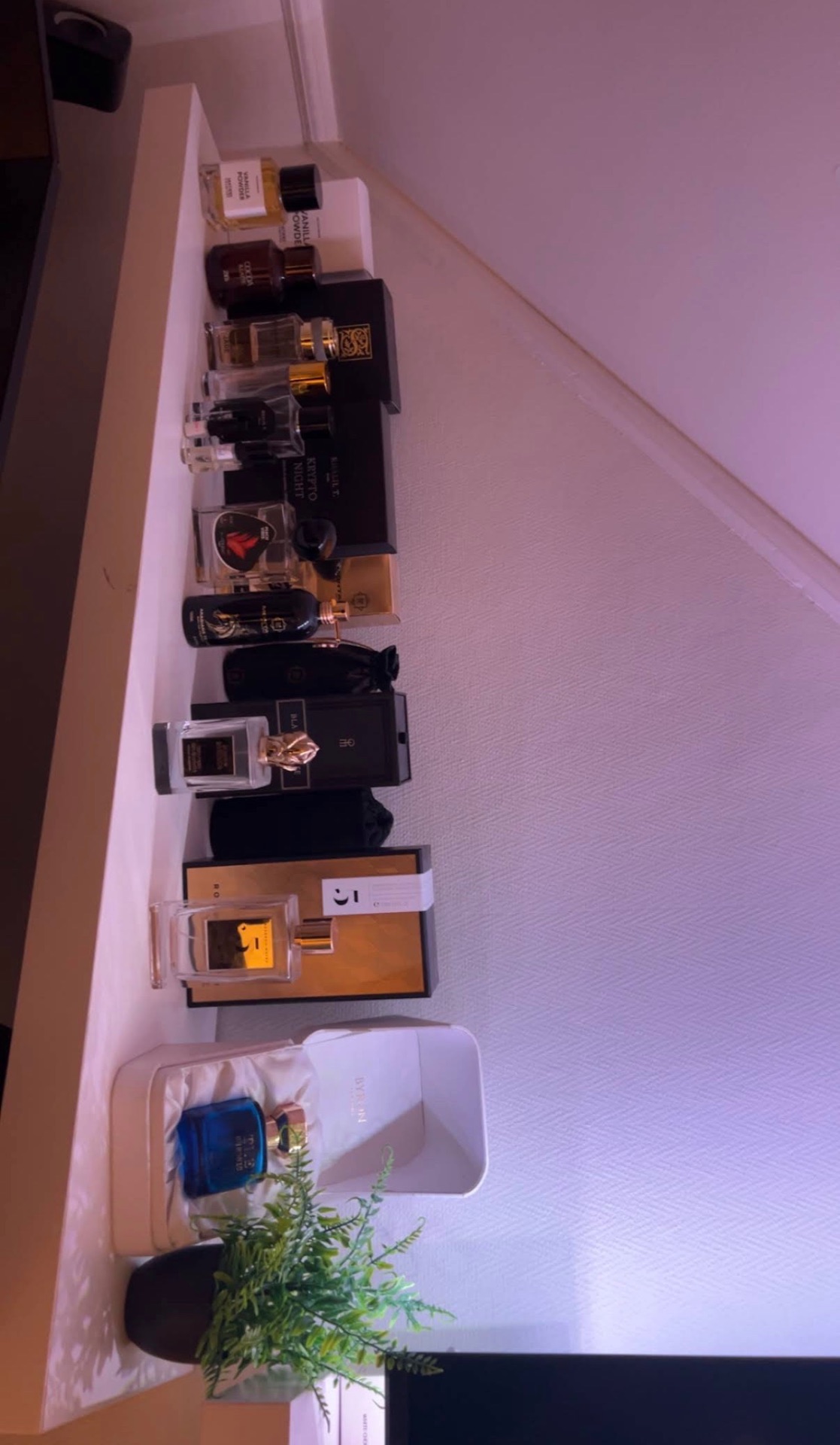 Collection de parfums exposée dans le showroom SMELLGOOD4ALL